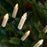 Melrose Int. LED Clip on Taper Candle with Remote, Set of 24, White