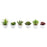 Melrose Assorted Succulent, Traditional White Pot, Set of 6, Green/Red - 62421DS