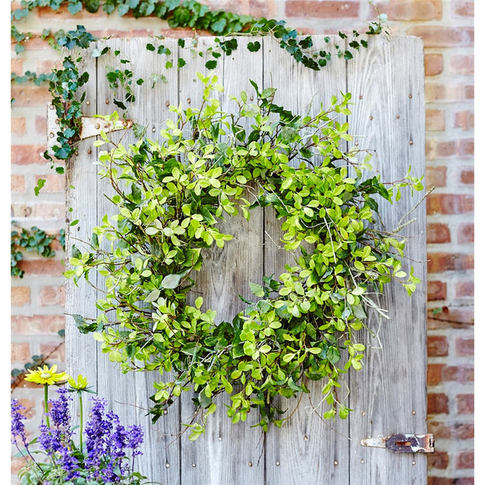 Melrose Oversized Mixed Foliage Twig Wreath 30"D, Green