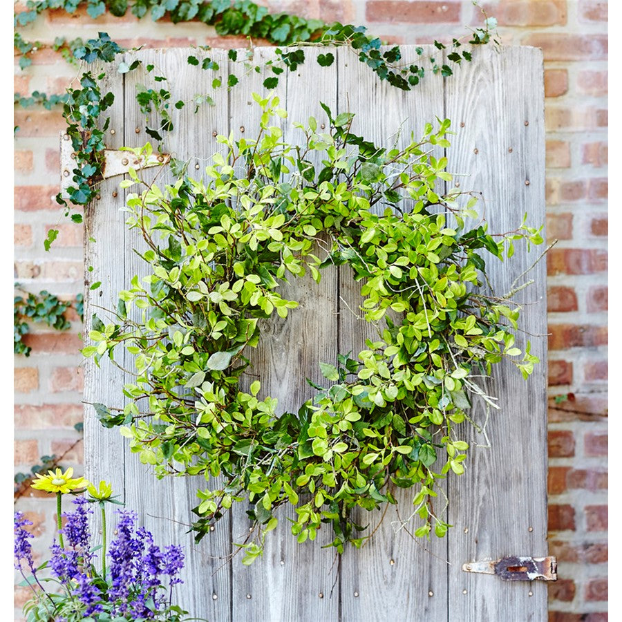 Melrose Oversized Mixed Foliage Twig Wreath 30"D, Green
