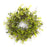Melrose Oversized Mixed Foliage Twig Wreath 30"D, Green