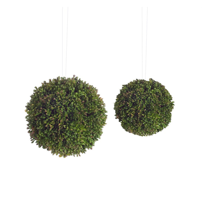 Melrose International Boxwood Sedum Orb, Set of 8, Green