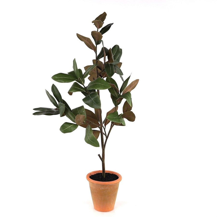 Melrose Potted Magnolia Tree Topiary 22"H, Green - 71634DS