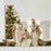 Melrose Nativity Wisemen Figurines/Gold Accents, Set of 3, White/Gold