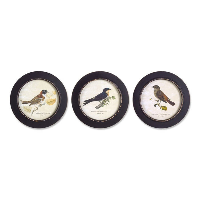 Melrose Wood Framed Encyclopedia Bird Print, Set of 3 9.5"D, Black - 74333DS