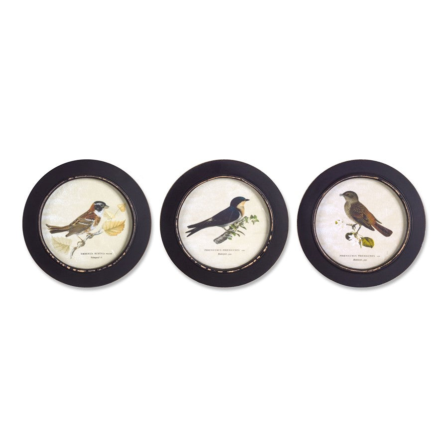 Melrose Wood Framed Encyclopedia Bird Print, Set of 3 9.5"D, Black - 74333DS