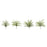 Melrose Assorted Fern Foliage Bush, Set of 12, Green/Brown