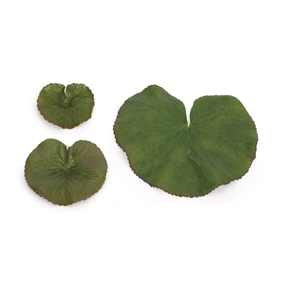 Melrose International Assorted Bag of Leaves Filler, Set of 12, Green - 74443DS