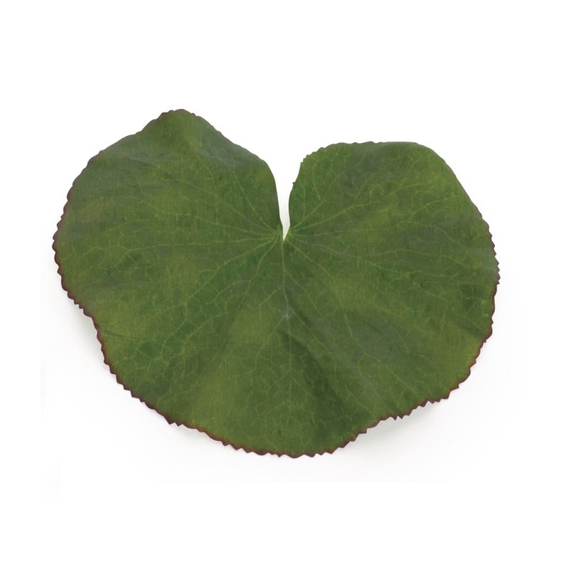 Melrose International Assorted Bag of Leaves Filler, Set of 12, Green