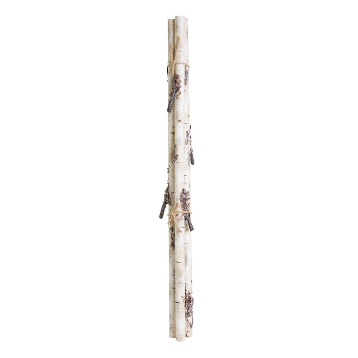Melrose Rustic Birch Log Bundle/Snowy Accents, Set of 12, White/Brown