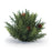 Melrose Winter Arborvitae Foliage Half Orb, Set of 2, Green - 77641DS