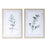 Melrose Framed Watercolor Eucalyptus Print, Set of 2, Grey/Green - 78119DS