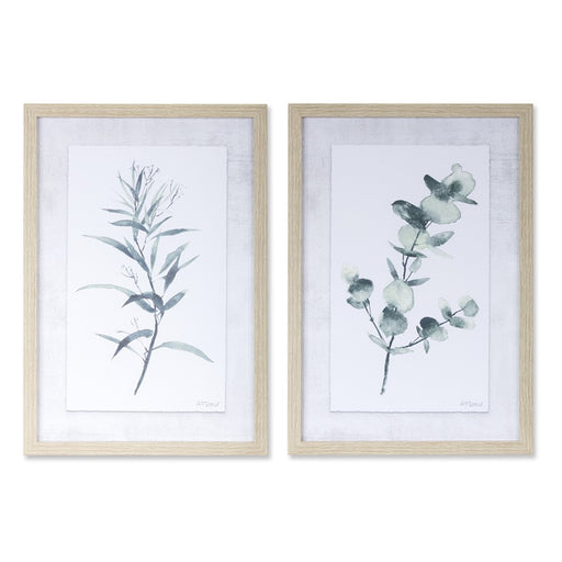 Melrose Framed Watercolor Eucalyptus Print, Set of 2, Grey/Green - 78119DS