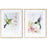 Melrose International Framed Hummingbird Print, Set of 2, Green/Pink - 78253DS