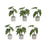 Melrose Assorted Foliage Plant, Grey Pot, Set of 6, Green/Brown/Grey - 78631DS