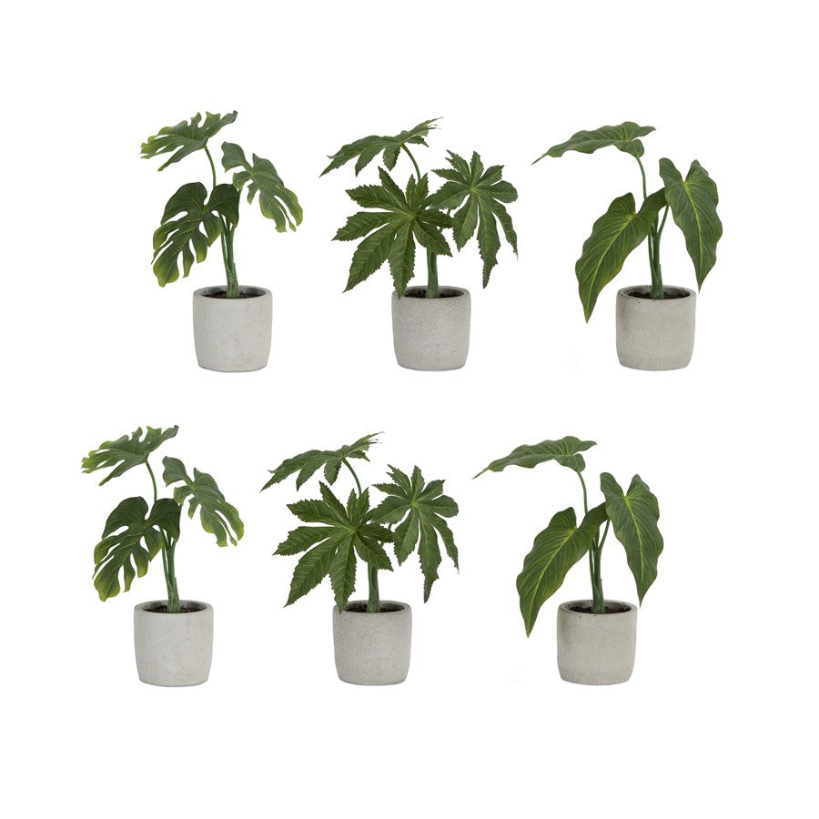 Melrose Assorted Foliage Plant, Grey Pot, Set of 6, Green/Brown/Grey - 78631DS