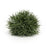 Melrose International Spring Grass Half Orb, Set of 24, Green