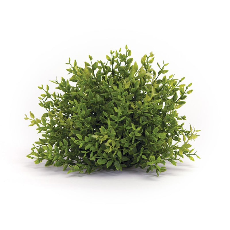 Melrose Spring 8" Mini Leaf Foliage Half Orb, Set of 6, Green