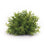 Melrose Spring 8" Mini Leaf Foliage Half Orb, Set of 6, Green