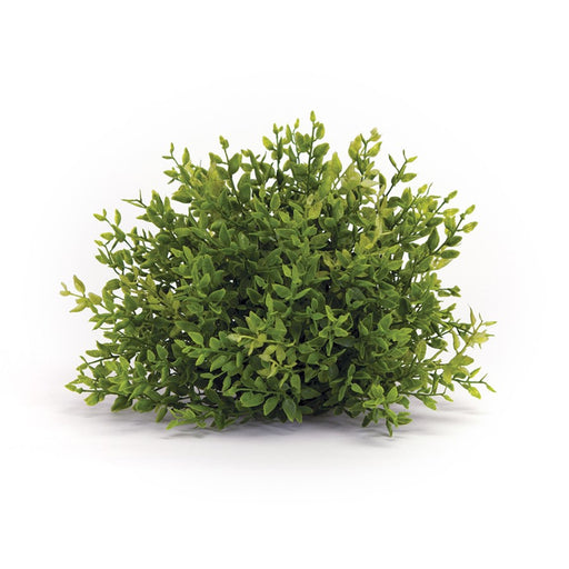 Melrose Spring 8" Mini Leaf Foliage Half Orb, Set of 6, Green