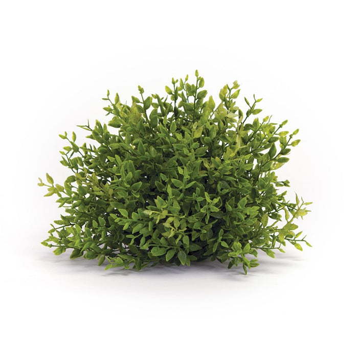 Melrose Spring 8" Mini Leaf Foliage Half Orb, Set of 6, Green