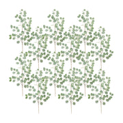 Melrose Frosted Dollar Eucalyptus Spray, Set of 12, Green/Brown/Silver - 80282DS