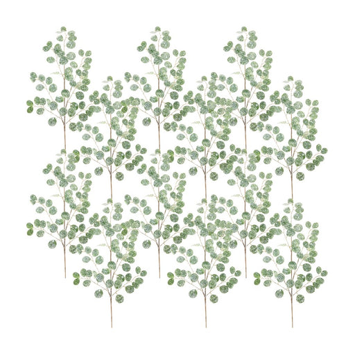 Melrose Frosted Dollar Eucalyptus Spray, Set of 12, Green/Brown/Silver - 80282DS