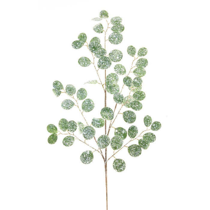 Melrose Frosted Dollar Eucalyptus Spray, Set of 12, Green/Brown/Silver