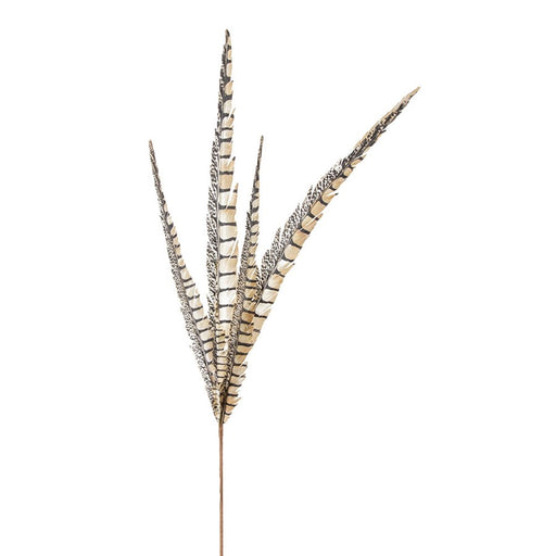 Melrose Faux Pheasant Feather Pick, Set of 12, Brown/Black/Beige - 81167DS