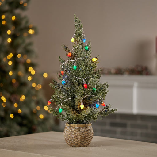 Melrose LED Lighted Strand/Classic Bulb Design,Set of 6 Strands, Blue