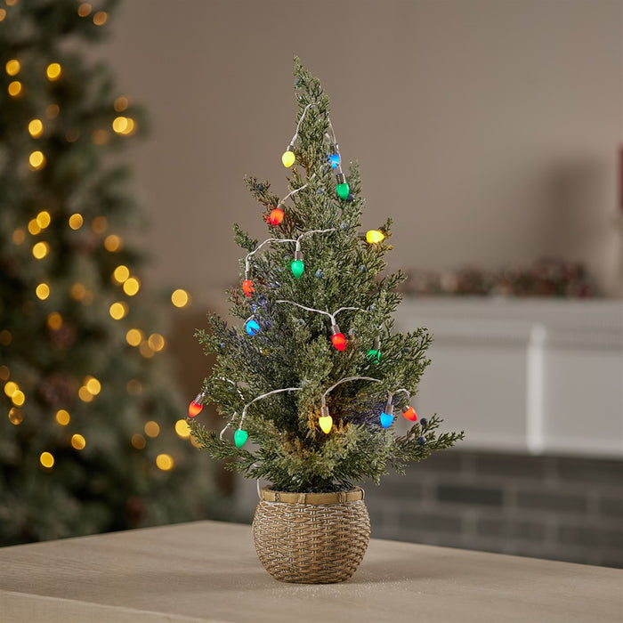 Melrose LED Lighted Strand/Classic Bulb Design,Set of 6 Strands, Blue