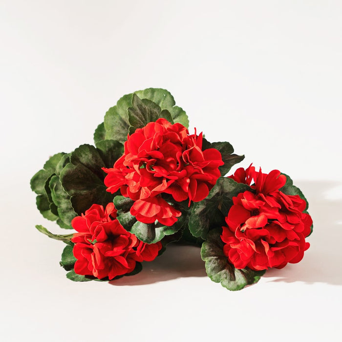 Melrose International Geranium Floral Bush, Set of 2, Green/Red/Brown