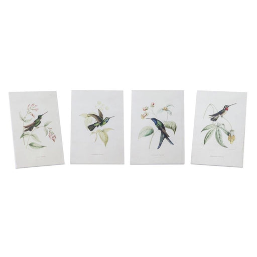 Melrose Tabletop Encyclopedia Hummingbird Print, Set of 4, White/Green - 82034DS