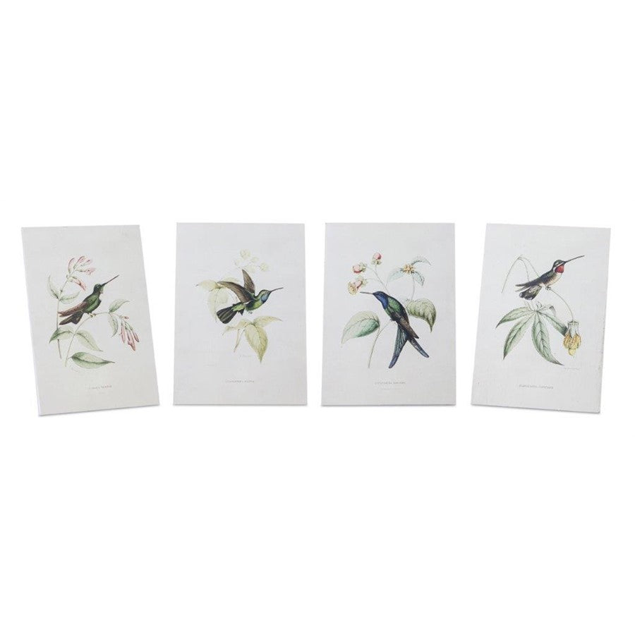Melrose Tabletop Encyclopedia Hummingbird Print, Set of 4, White/Green - 82034DS