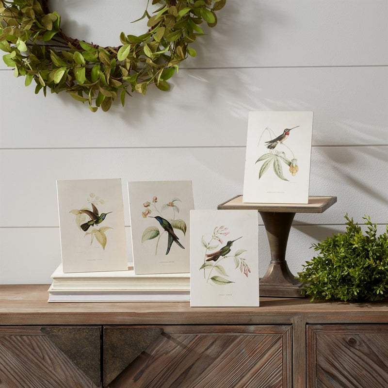 Melrose Tabletop Encyclopedia Hummingbird Print, Set of 4, White/Green