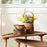 Melrose Naturalen Pail Planter/Metal Handle Accent, Set of 2, Brown