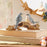 Melrose International Birds on Branch Figurine 9.5"L, Brown/White/Blue