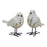 Melrose Bird Figurine/Carved Floral Design, Set/2, White/Brown/Black - 82520DS