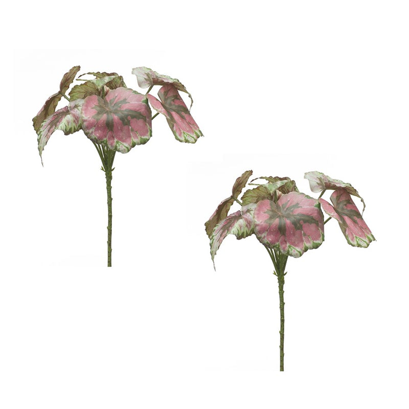 Melrose International Varigated Begonia Leaf Bush, Set of 2, Red/Green - 82597DS