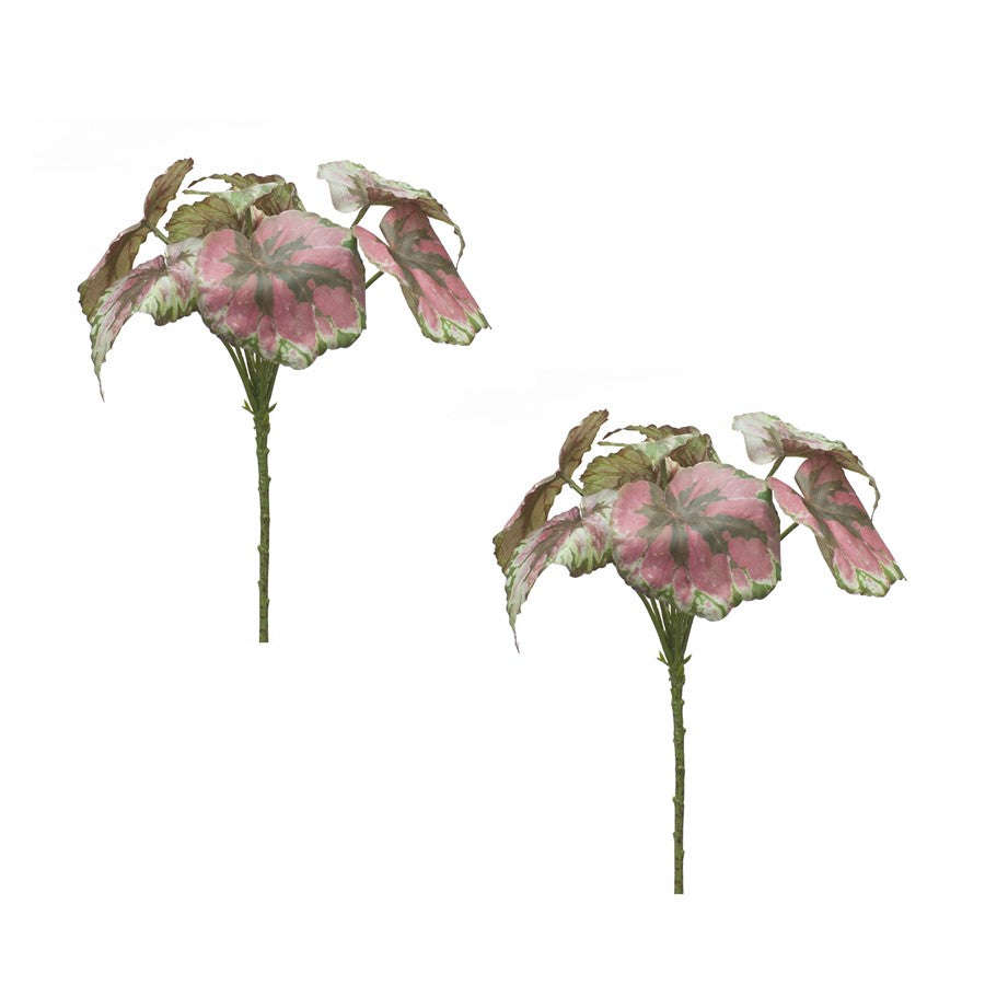 Melrose International Varigated Begonia Leaf Bush, Set of 2, Red/Green - 82597DS