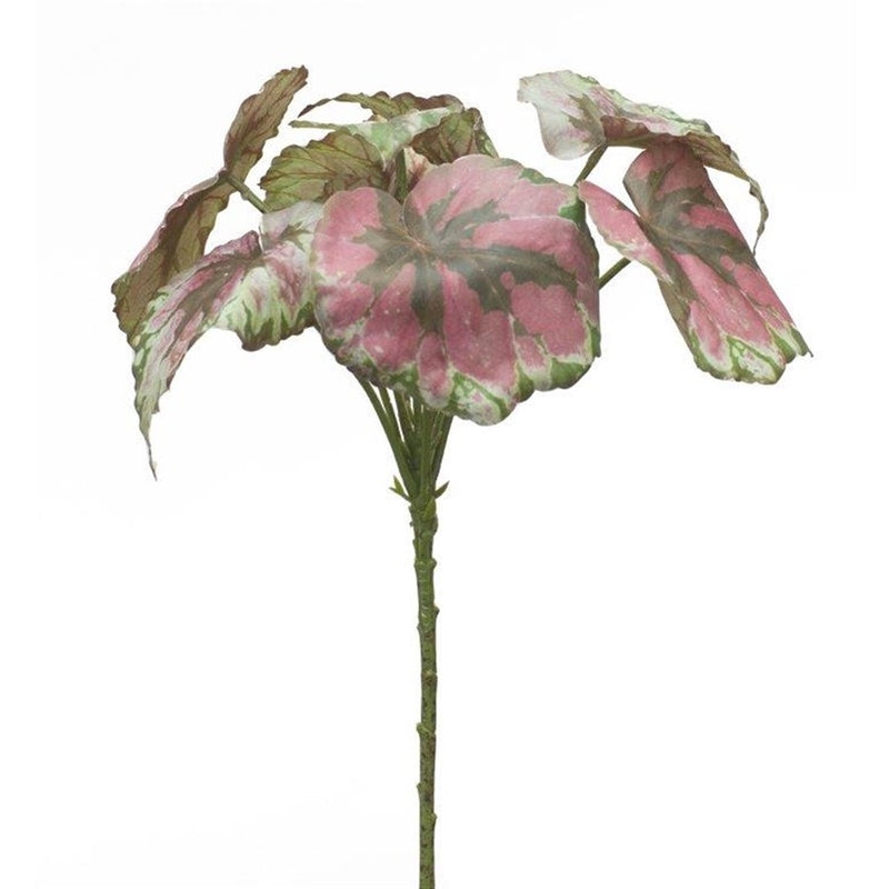 Melrose International Varigated Begonia Leaf Bush, Set of 2, Red/Green