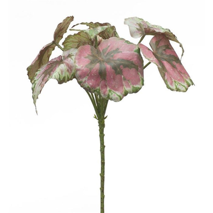 Melrose International Varigated Begonia Leaf Bush, Set of 2, Red/Green