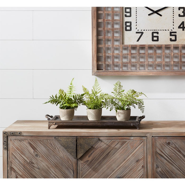 Melrose Assorted Fern Plant, Grey Pot, Set of 3, Green/Grey