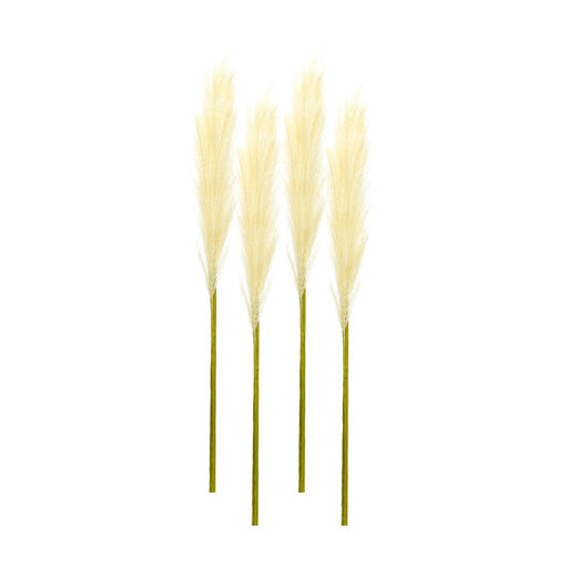 Melrose International Cream Pampas Gass Stem, Set of 4, Beige/Green - 82753DS