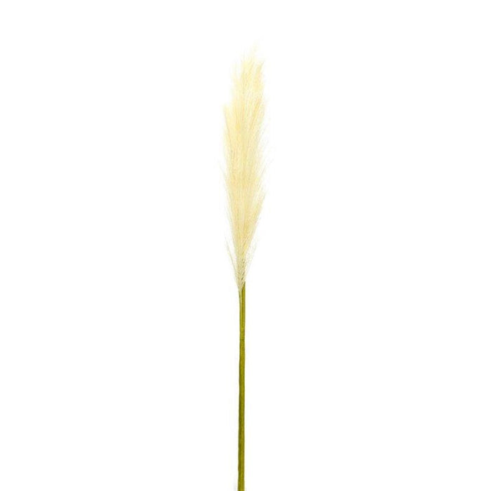 Melrose International Cream Pampas Gass Stem, Set of 4, Beige/Green