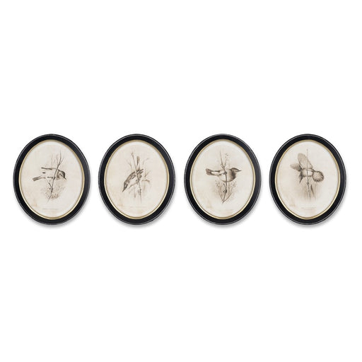 Melrose International Framed Bird Print, Set of 4, Beige/Black - 82838DS