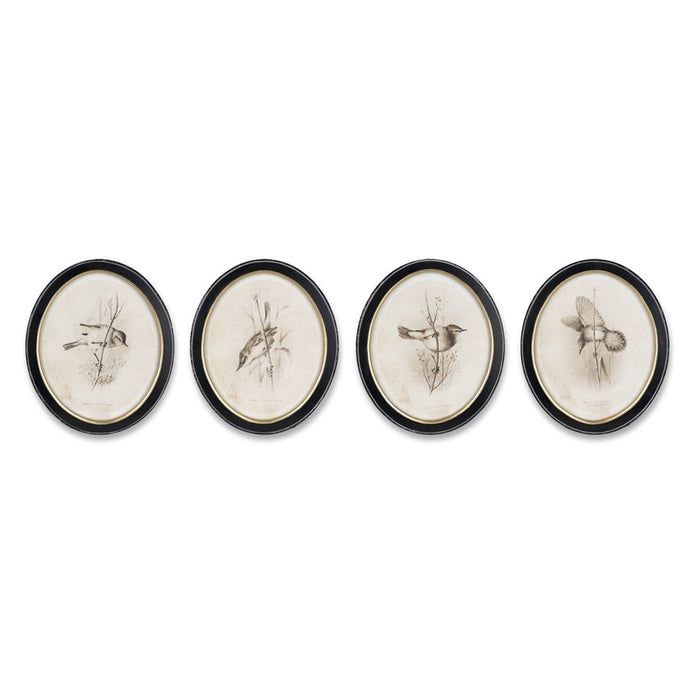 Melrose International Framed Bird Print, Set of 4, Beige/Black - 82838DS