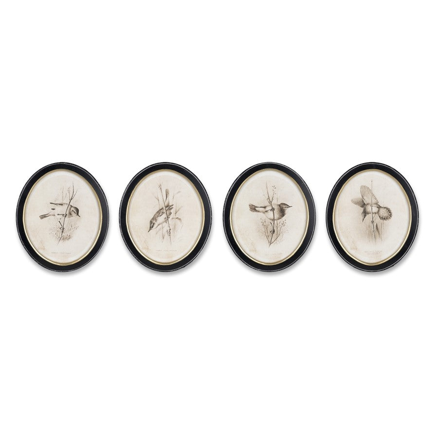 Melrose International Framed Bird Print, Set of 4, Beige/Black - 82838DS