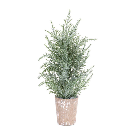Melrose Frosted Holiday Pine Tree, Paper Pot, Set of 4, Green/White