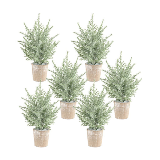 Melrose Frosted Holiday Pine Tree, Paper Pot, Set of 6, Green/Brown - 83221DS